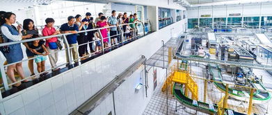 牛奶煮沸為何不見奶皮？餐飲企業這樣解答市民疑問